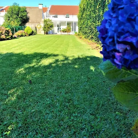 Surf Beach_santa Barbara Secret Gardens Holiday home Ribeira Grande